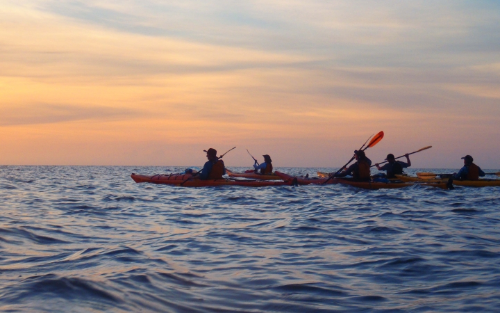 wilderness expedition for adults in florida 